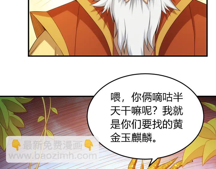 第218话 “黄金”麒麟玉27