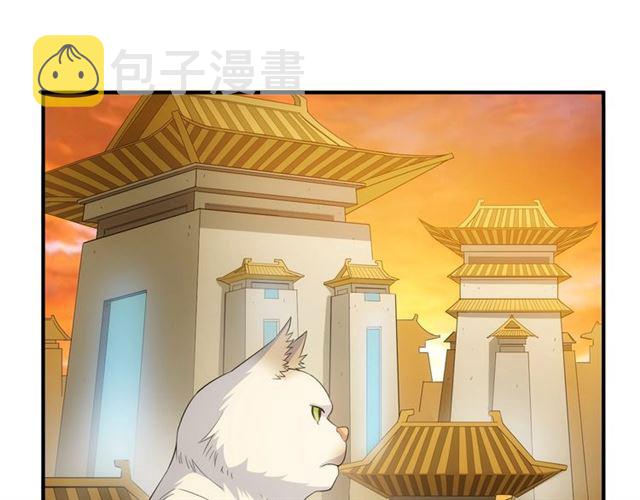 第139话 招财猫！4