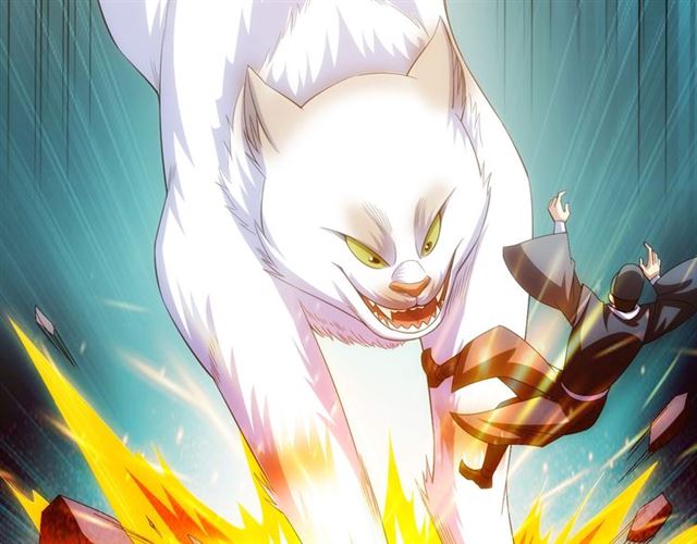 第139话 招财猫！79