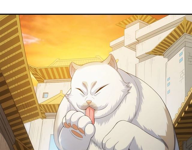 第139话 招财猫！10
