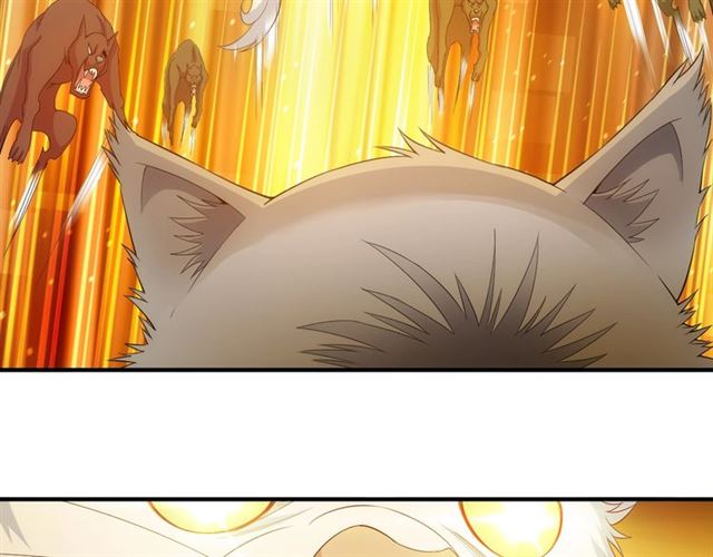 第139话 招财猫！20