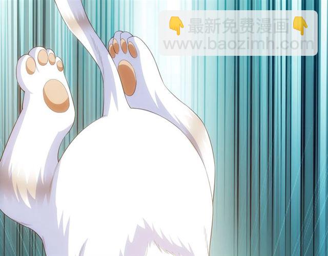 第139话 招财猫！78