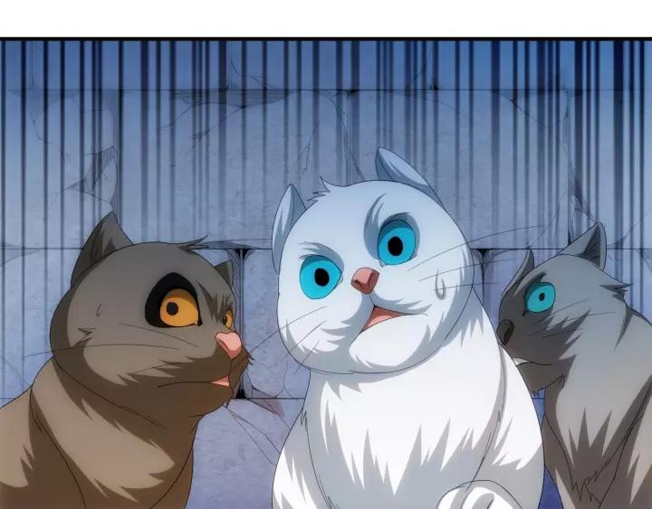 第138话 妖猫传47