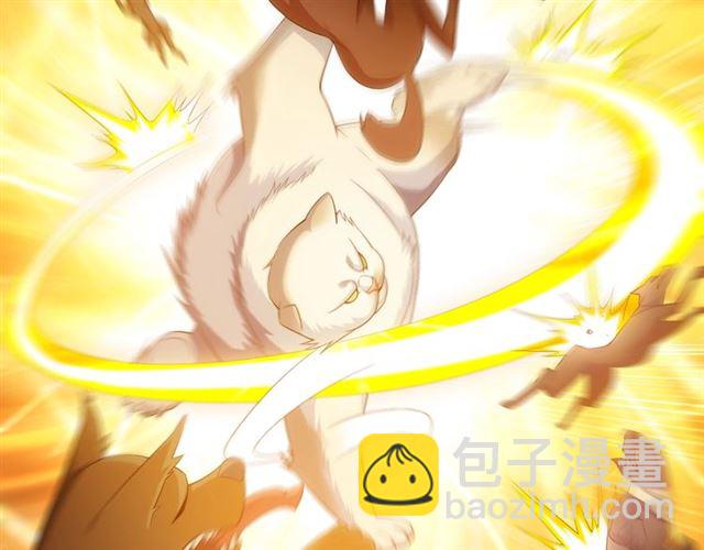 第139话 招财猫！24
