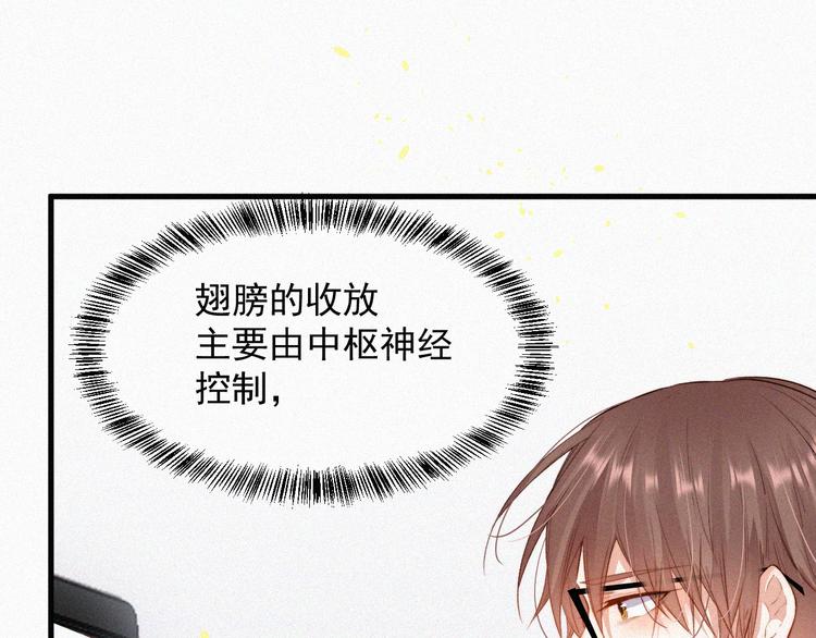 第4话 记录首次飞行29