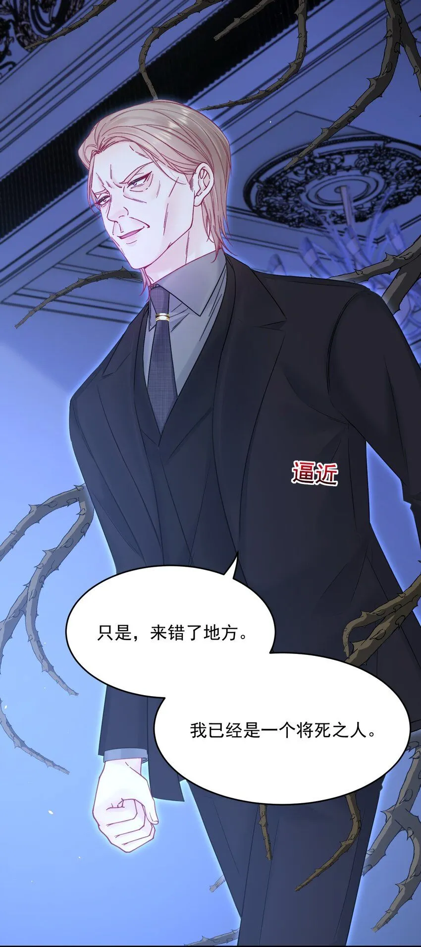 217话 最终章倒计时（六）10