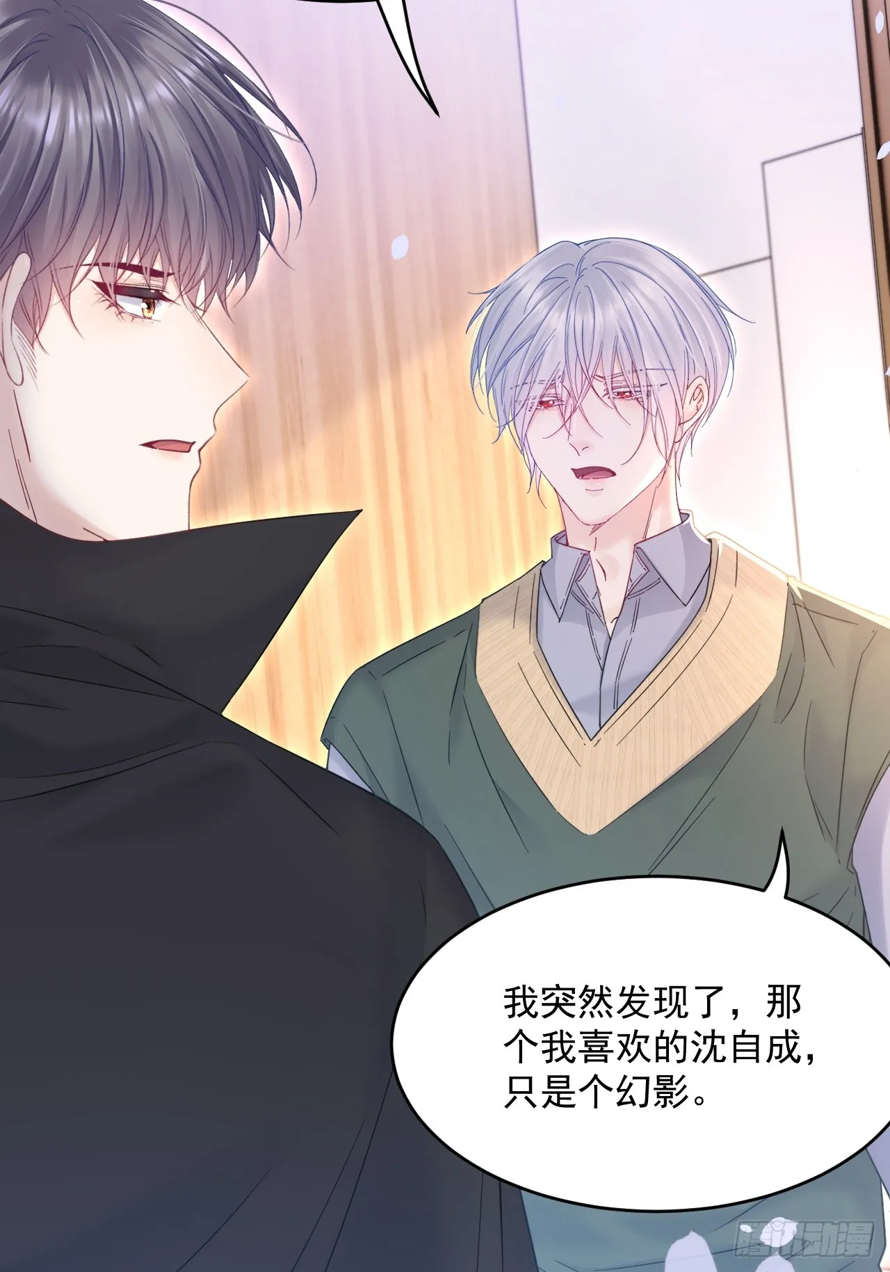 第206话 沈自成的心29