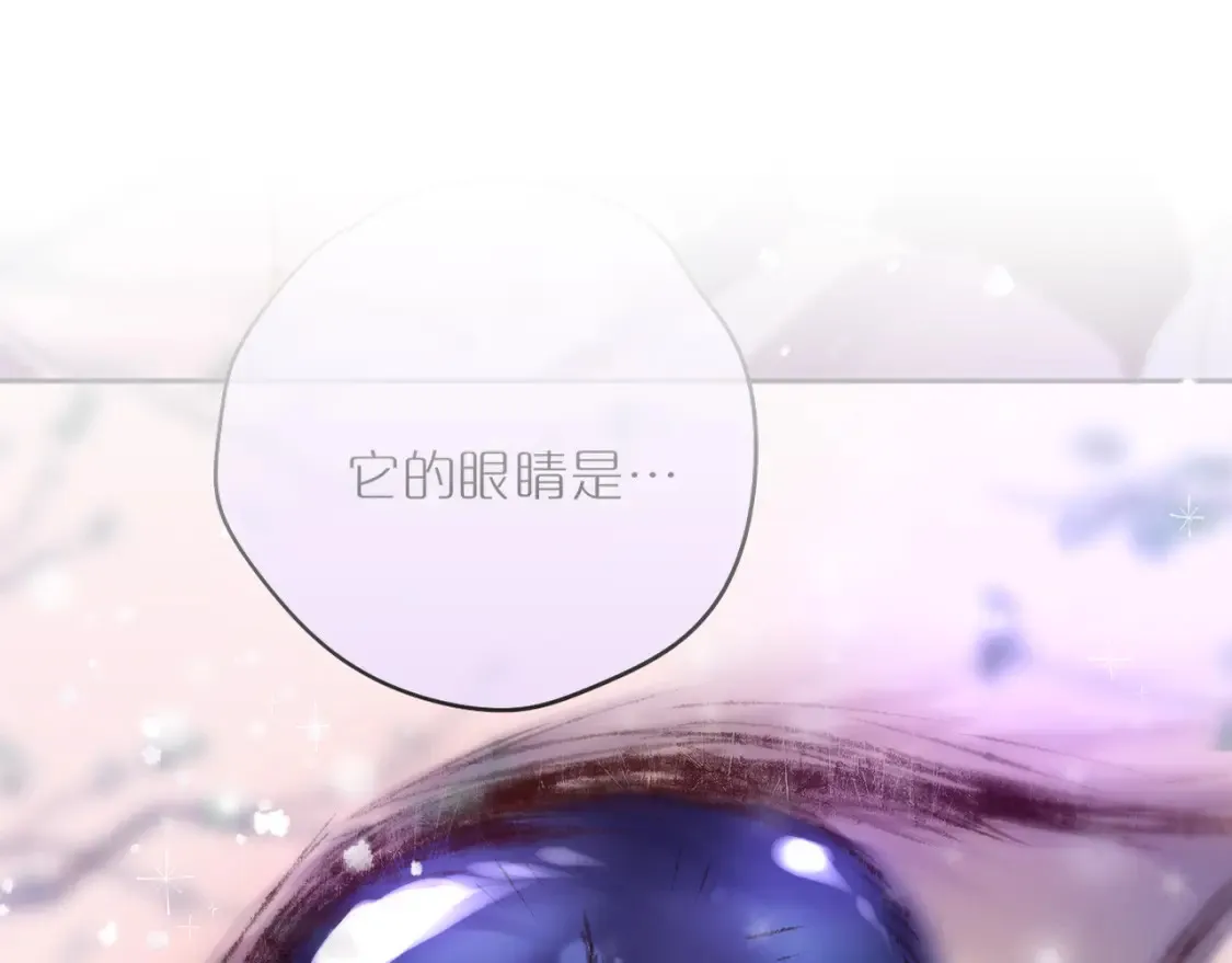 第63话 我先捡到的！0