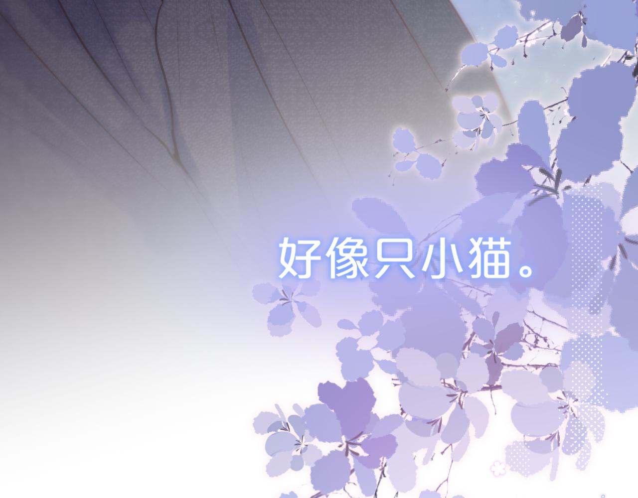 第35话 小猫咪74