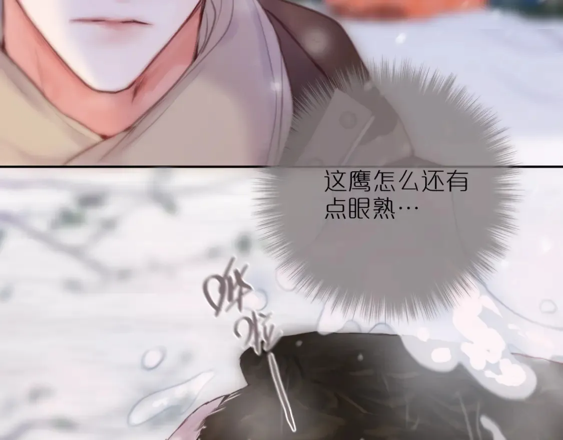 第62话 黑鹰45