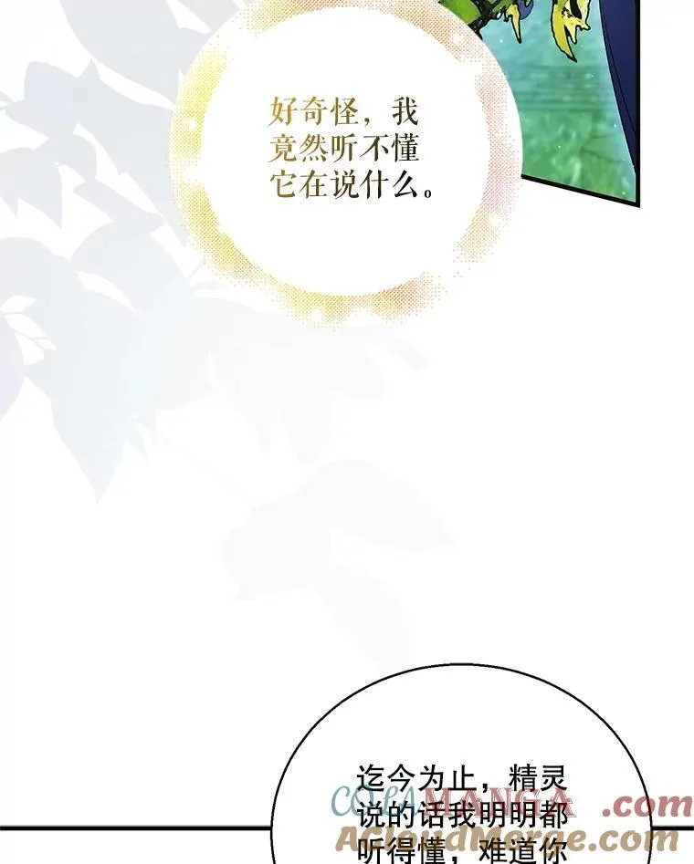 120.灾祸青鸟88