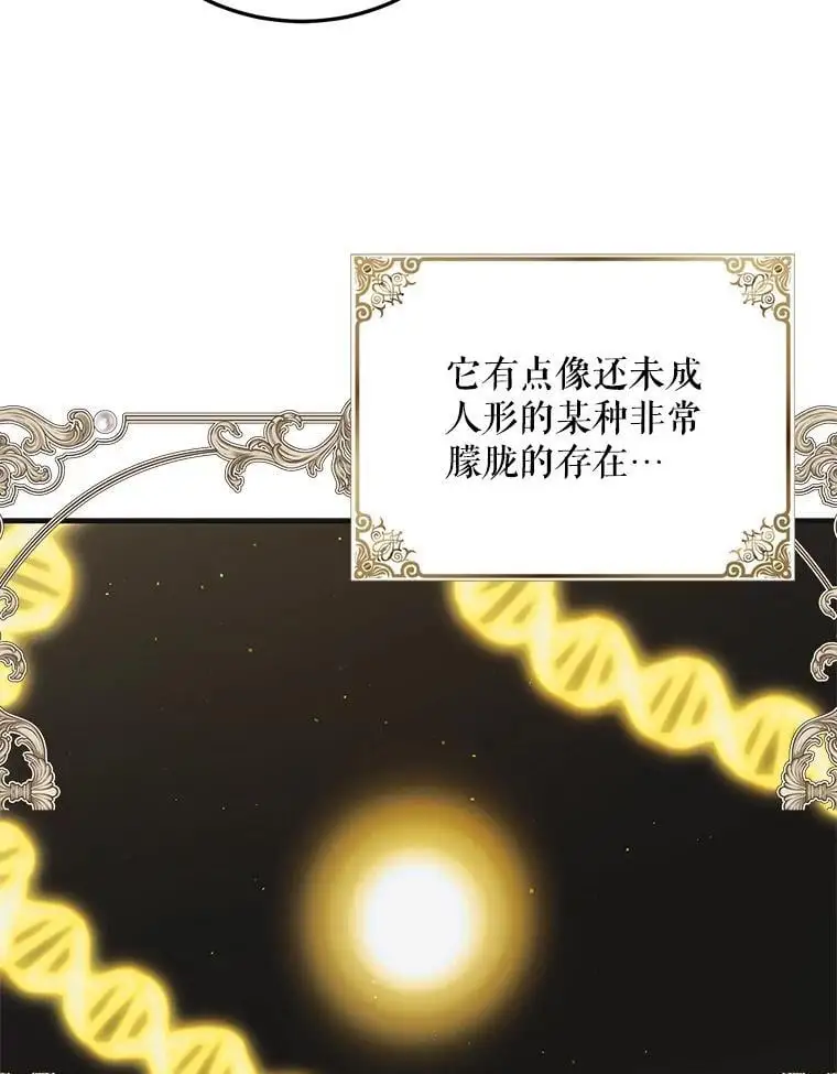 98.卡伊莱斯的猜测83
