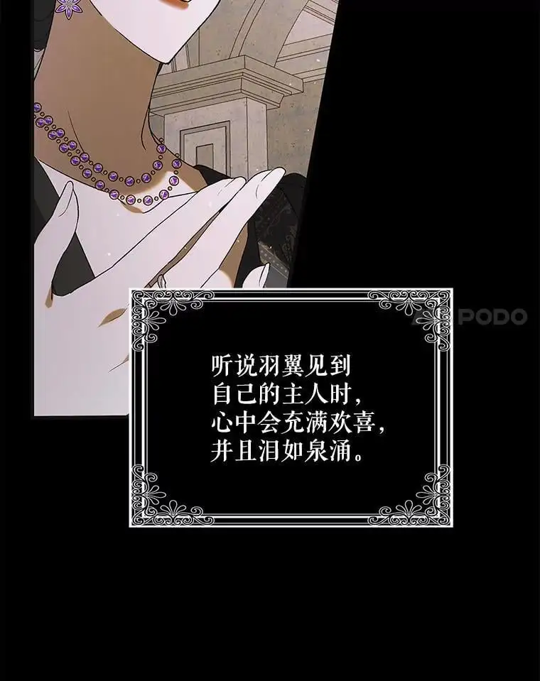 96.卡伊莱斯的过往83
