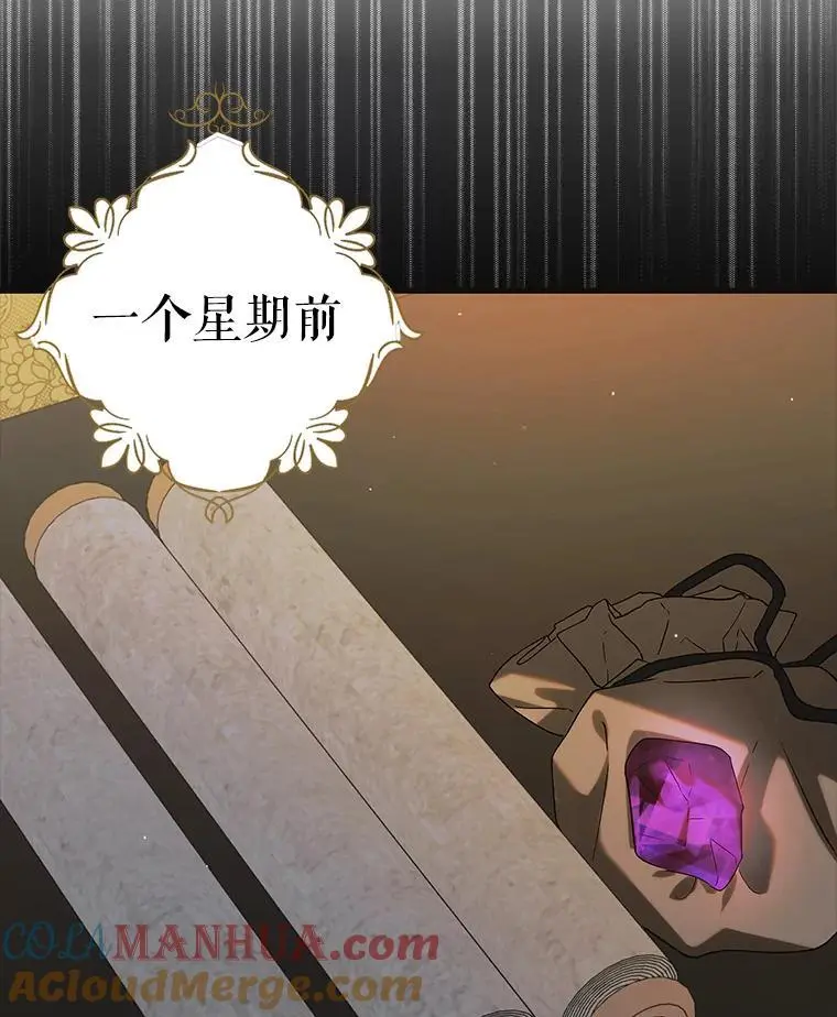 98.卡伊莱斯的猜测116
