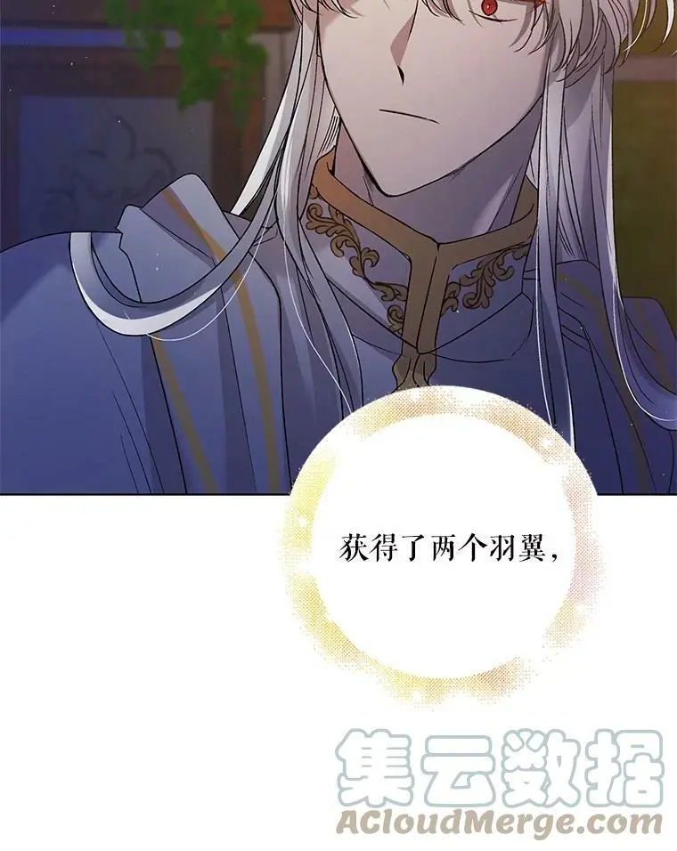 47.第二羽翼诞生100