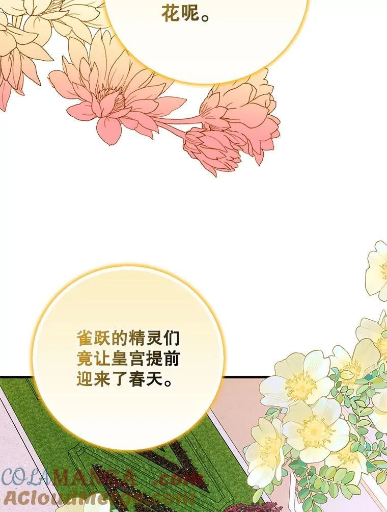 120.灾祸青鸟56