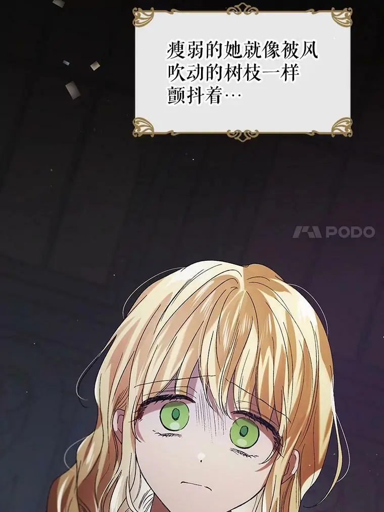 40.第二羽翼的诞生78