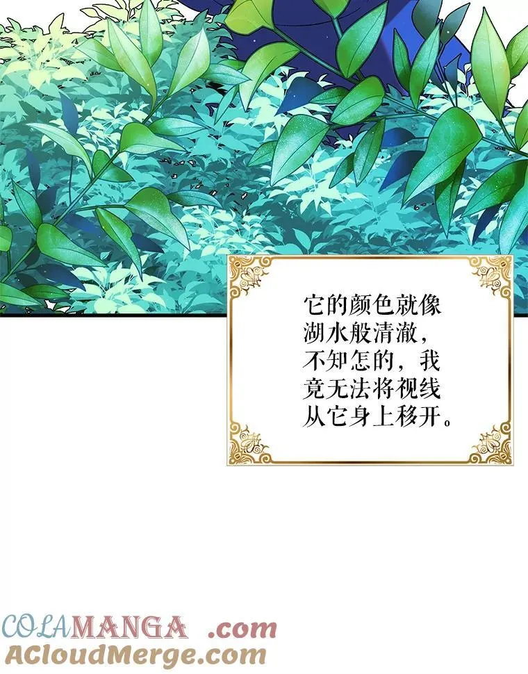 120.灾祸青鸟84