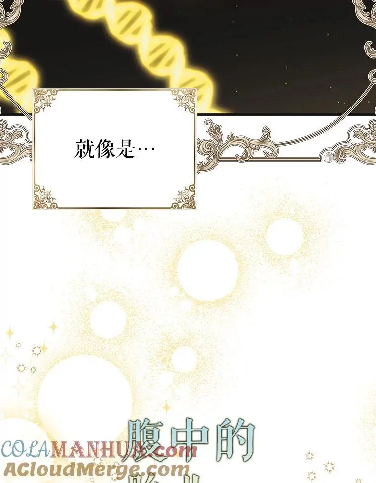 98.卡伊莱斯的猜测84