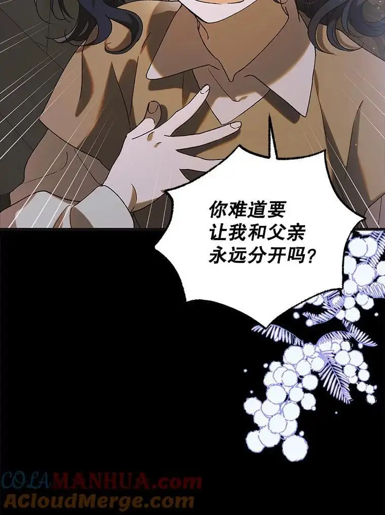 96.卡伊莱斯的过往64