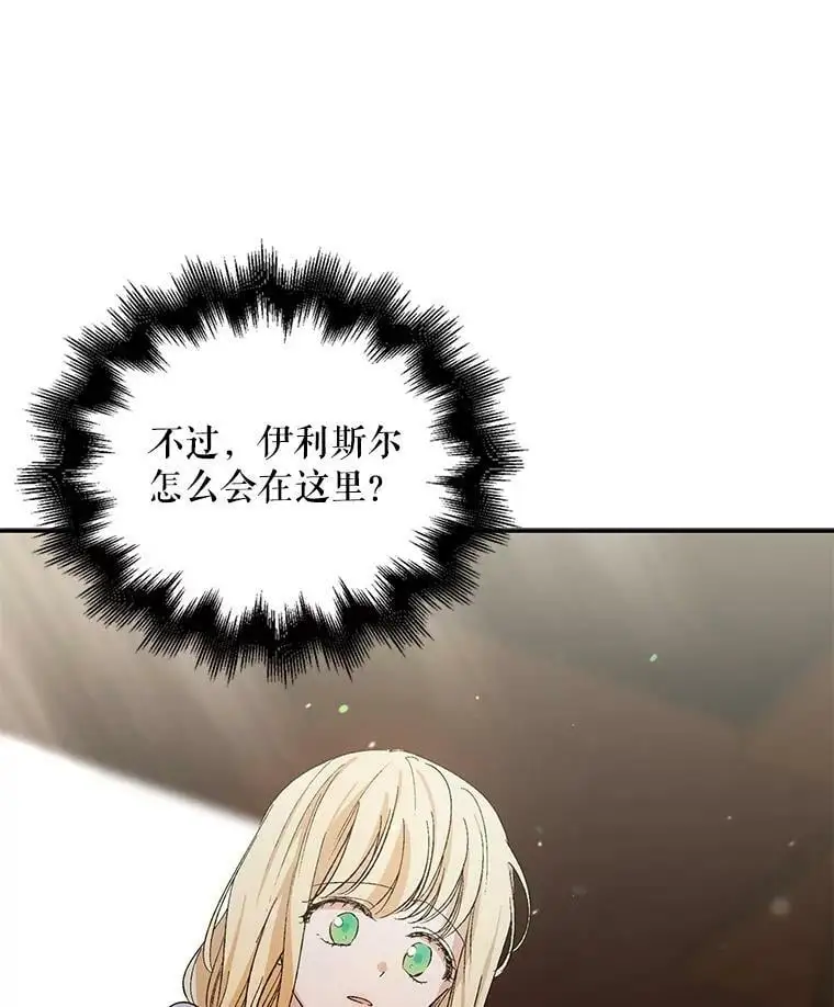 5.另一个伊利斯尔？17