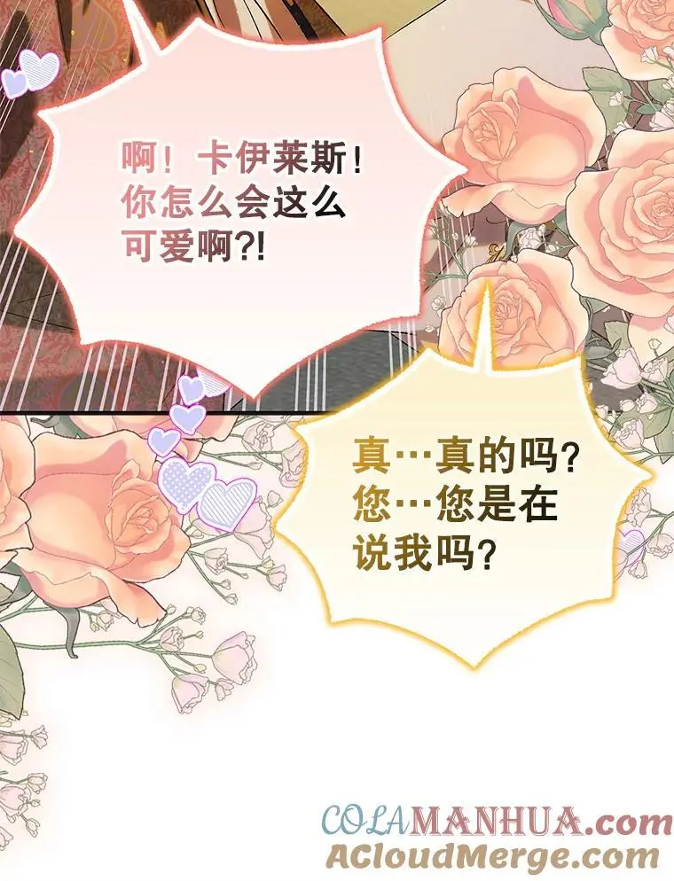 98.卡伊莱斯的猜测24