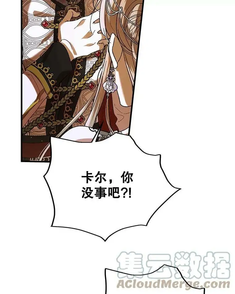74.卡尔的过去112