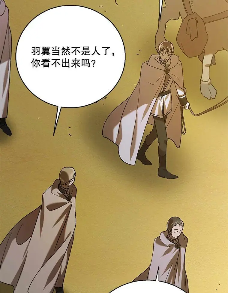 74.卡尔的过去134