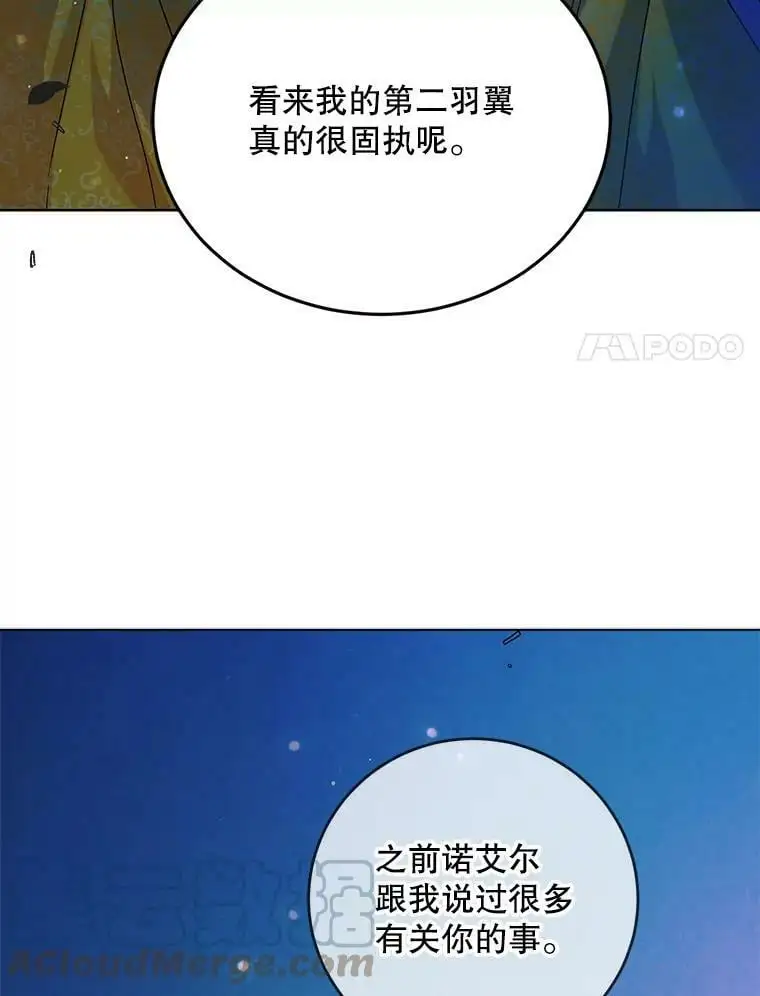 47.第二羽翼诞生40