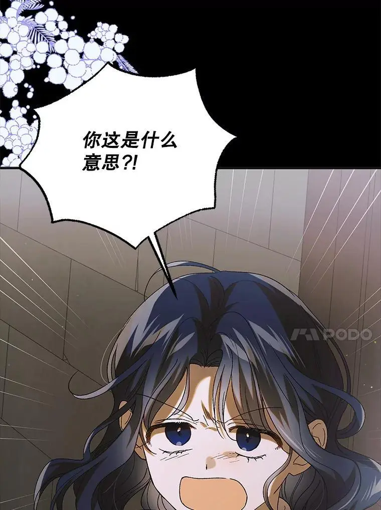 96.卡伊莱斯的过往63
