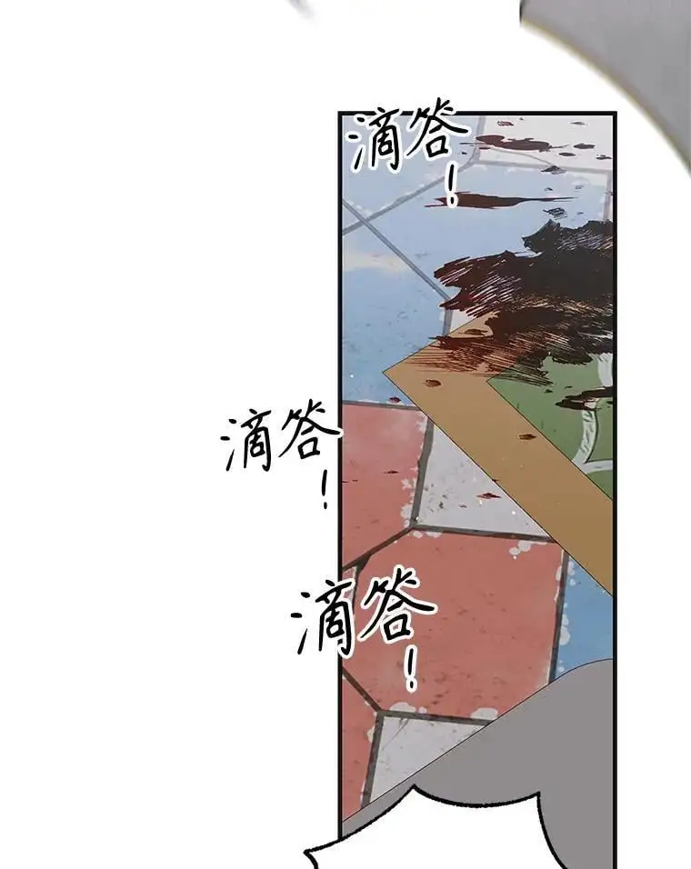 96.卡伊莱斯的过往129