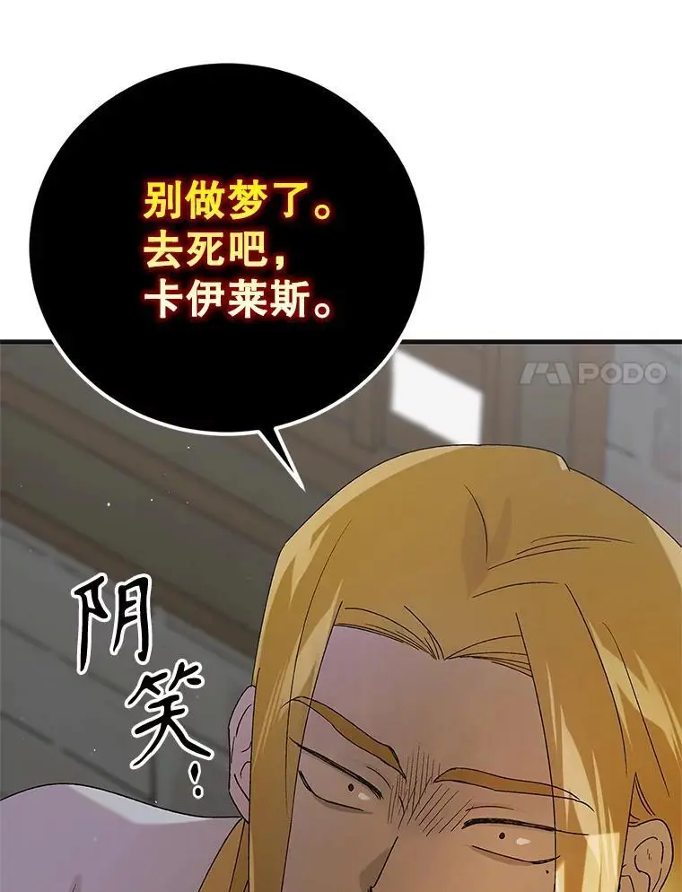 96.卡伊莱斯的过往137