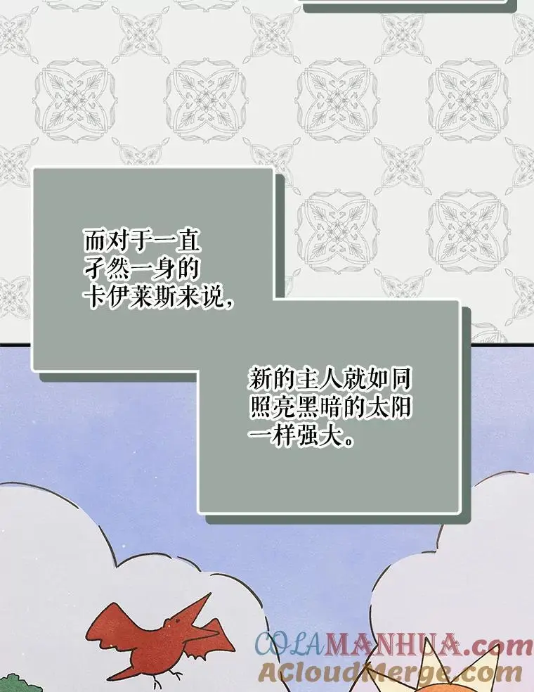 98.卡伊莱斯的猜测20