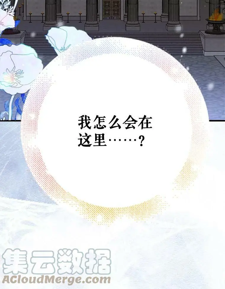 79.怀疑的种子12
