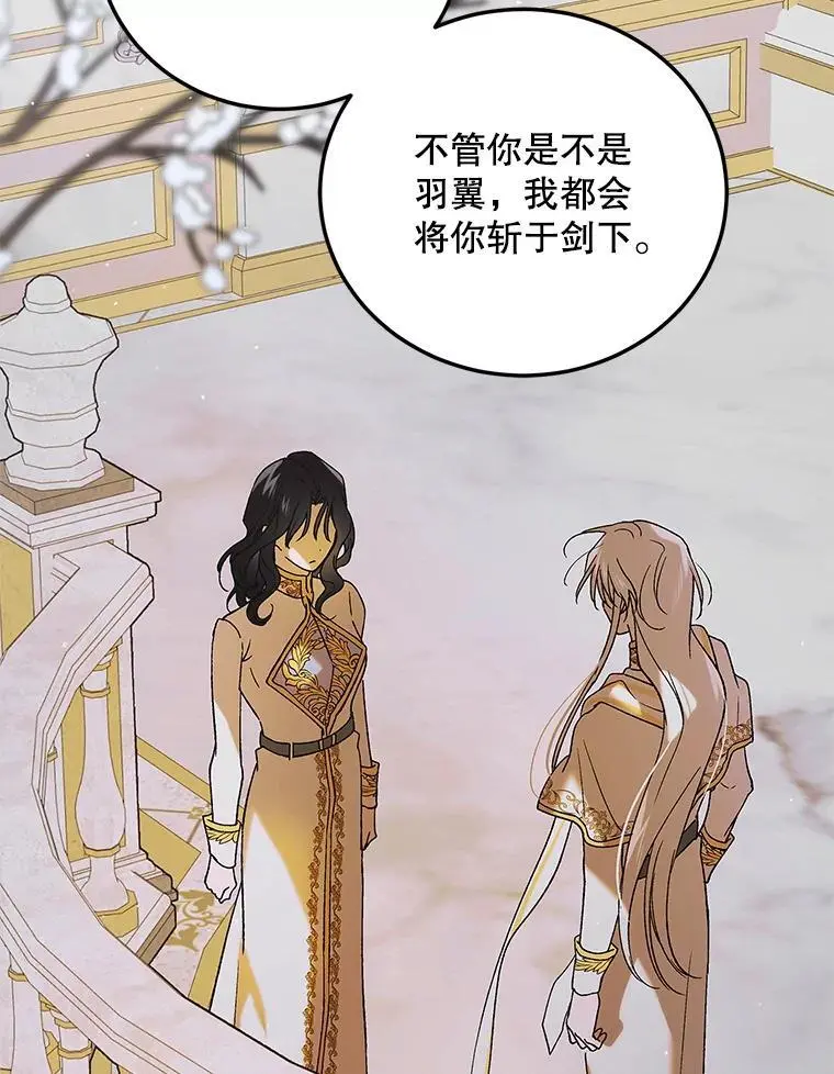 98.卡伊莱斯的猜测105
