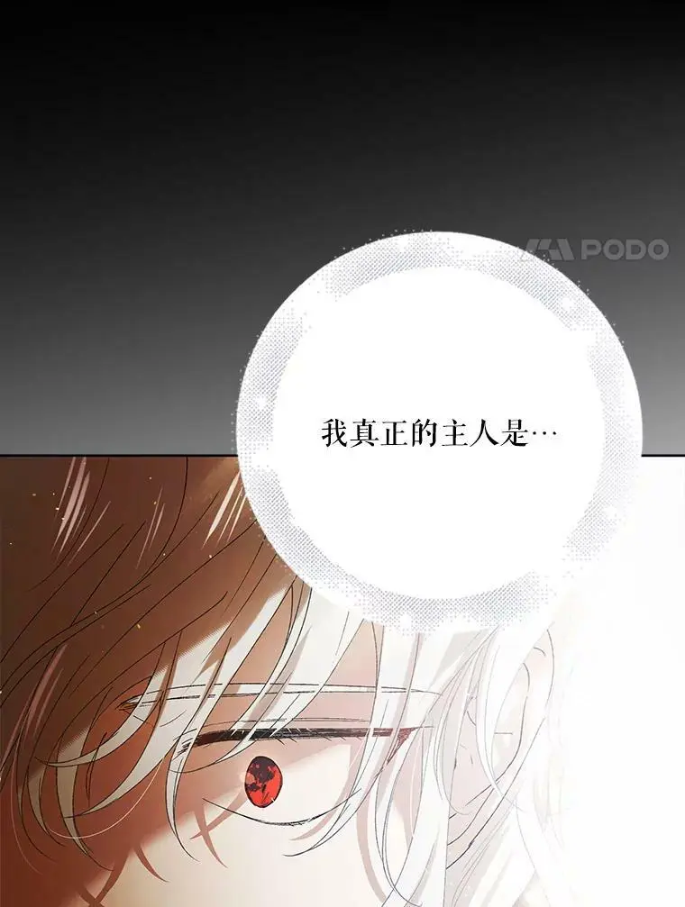 40.第二羽翼的诞生91