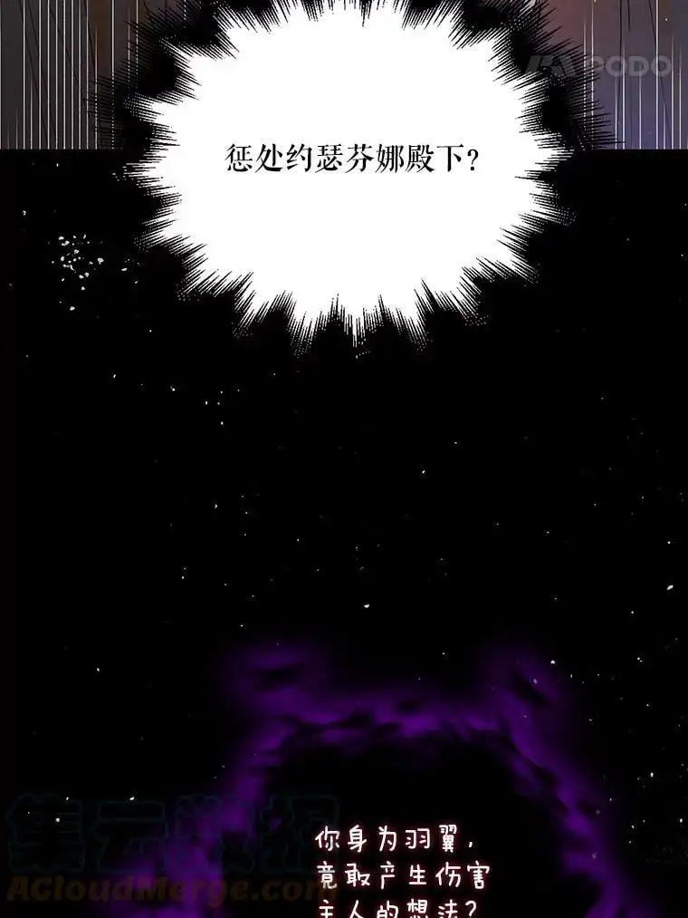 40.第二羽翼的诞生88