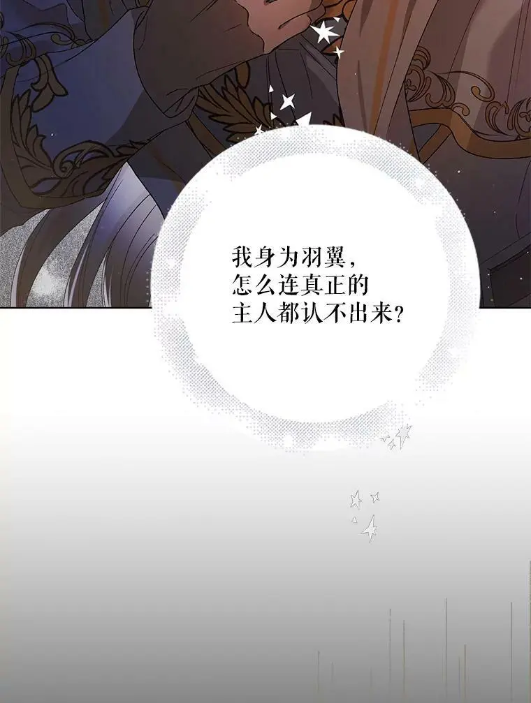 40.第二羽翼的诞生101