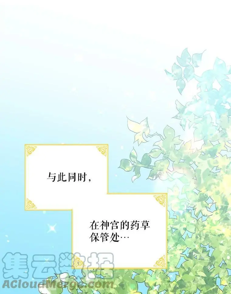 11.第九羽翼的诞生28