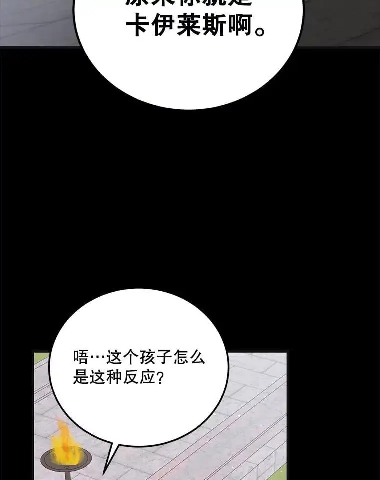 96.卡伊莱斯的过往77
