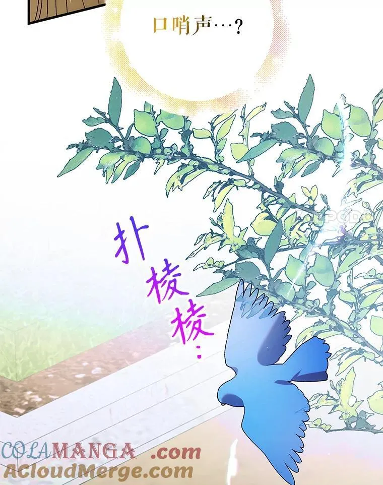 120.灾祸青鸟80