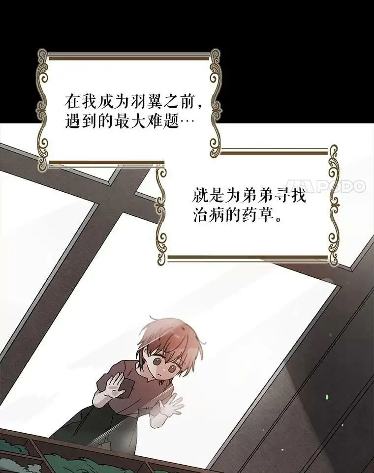 11.第九羽翼的诞生93