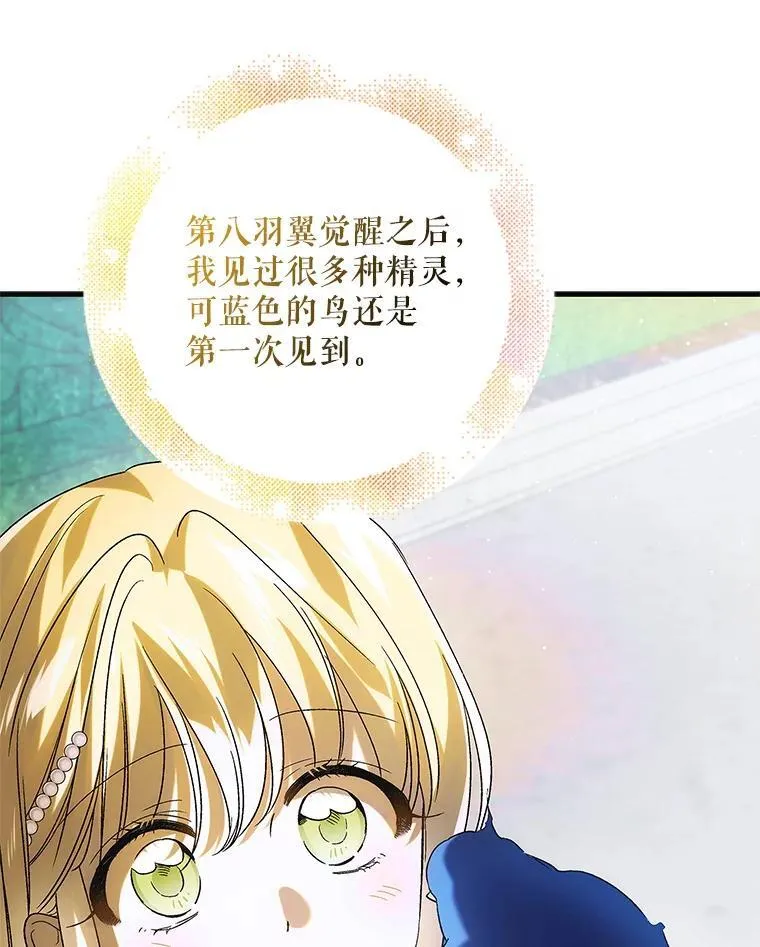 120.灾祸青鸟85