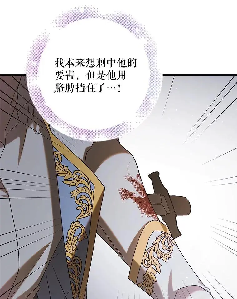 96.卡伊莱斯的过往133