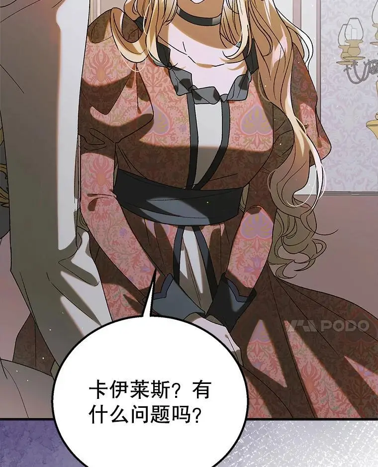 98.卡伊莱斯的猜测57