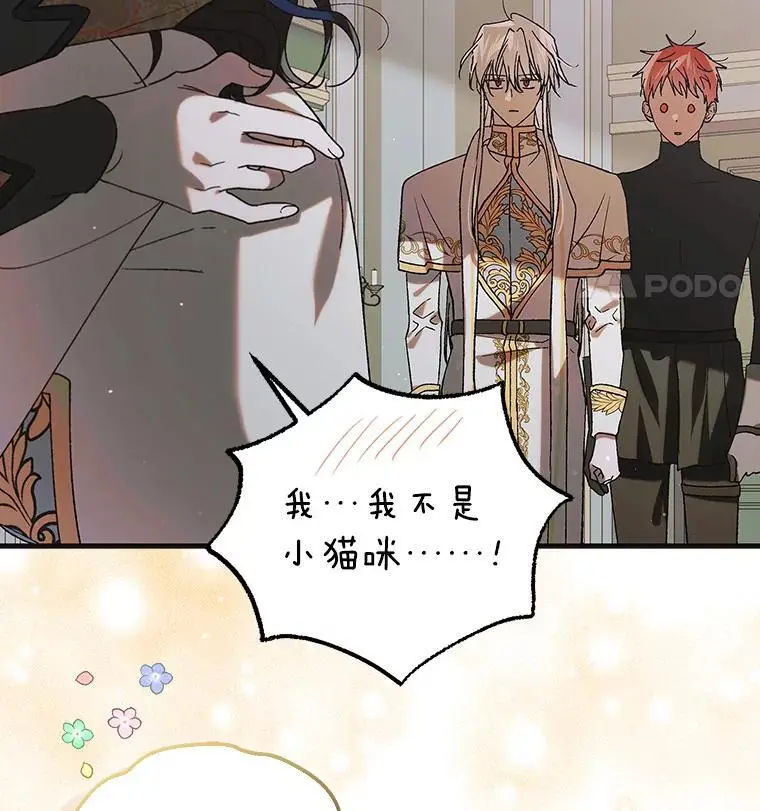 98.卡伊莱斯的猜测26