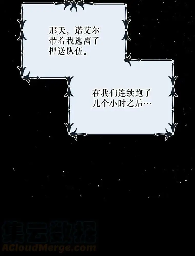 13.第九羽翼的承诺28