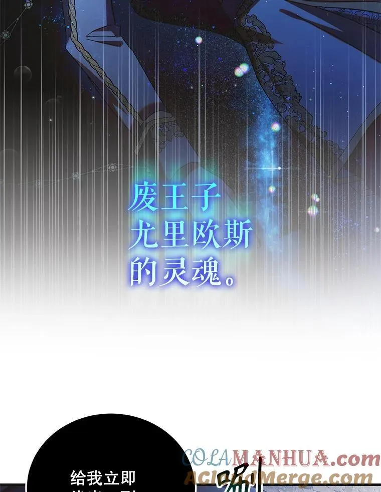 114.影失其踪132