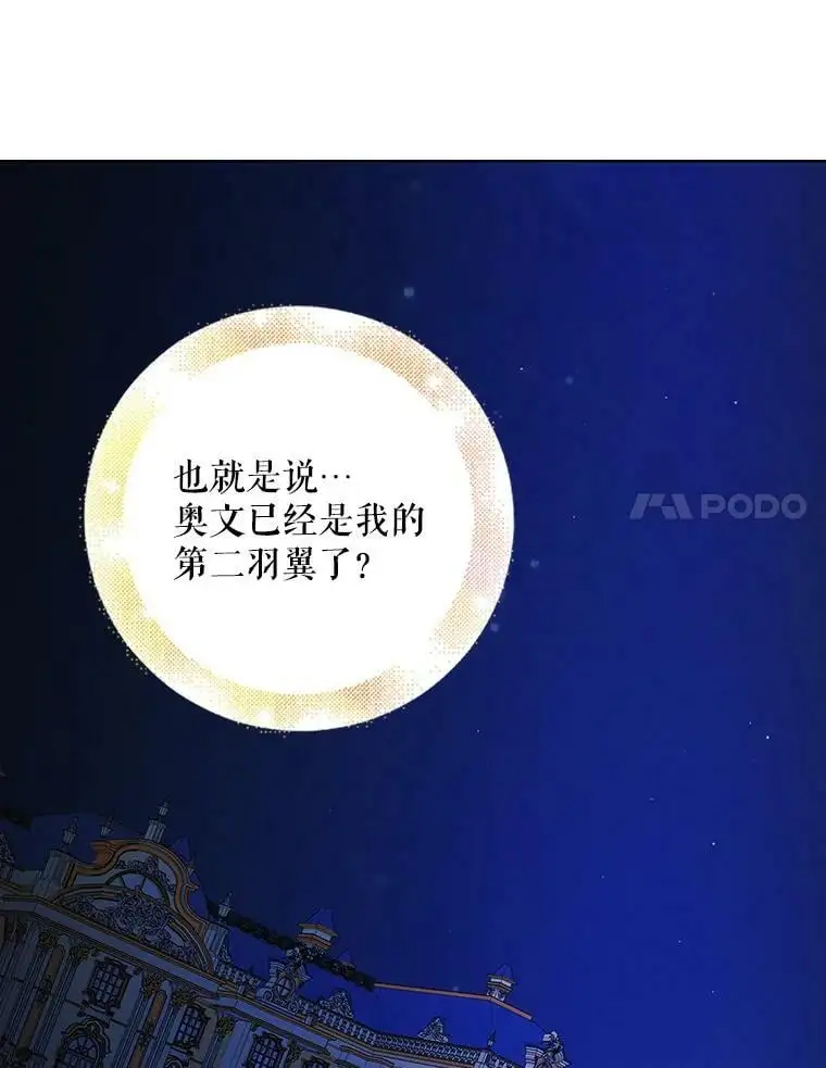 47.第二羽翼诞生30