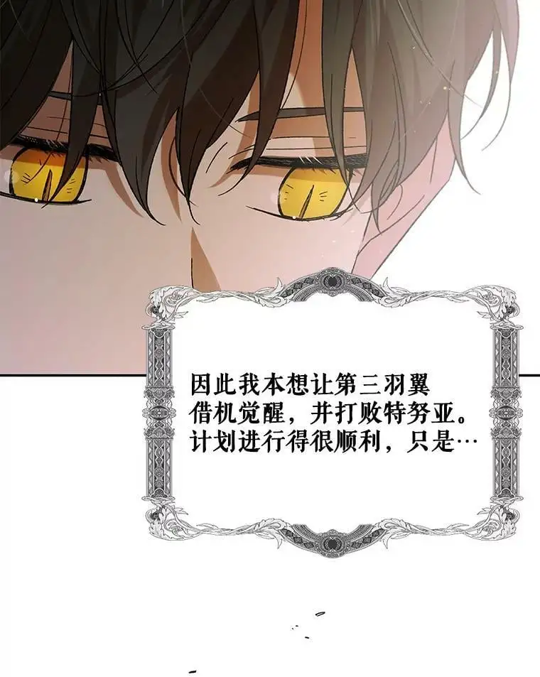 66.第三羽翼觉醒47